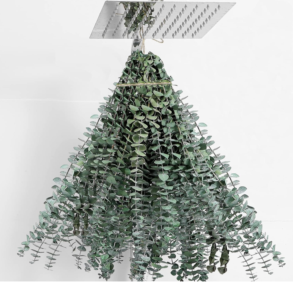 Eucalyptus & Lavender Shower Bundle