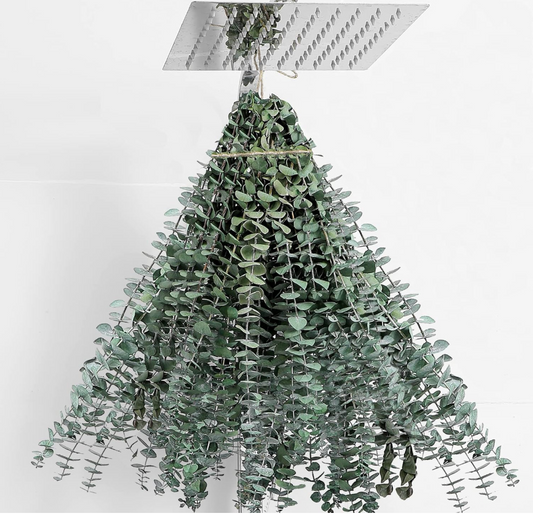 Eucalyptus & Lavender Shower Bundle