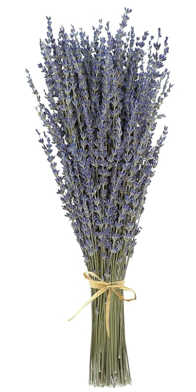 Eucalyptus & Lavender Shower Bundle